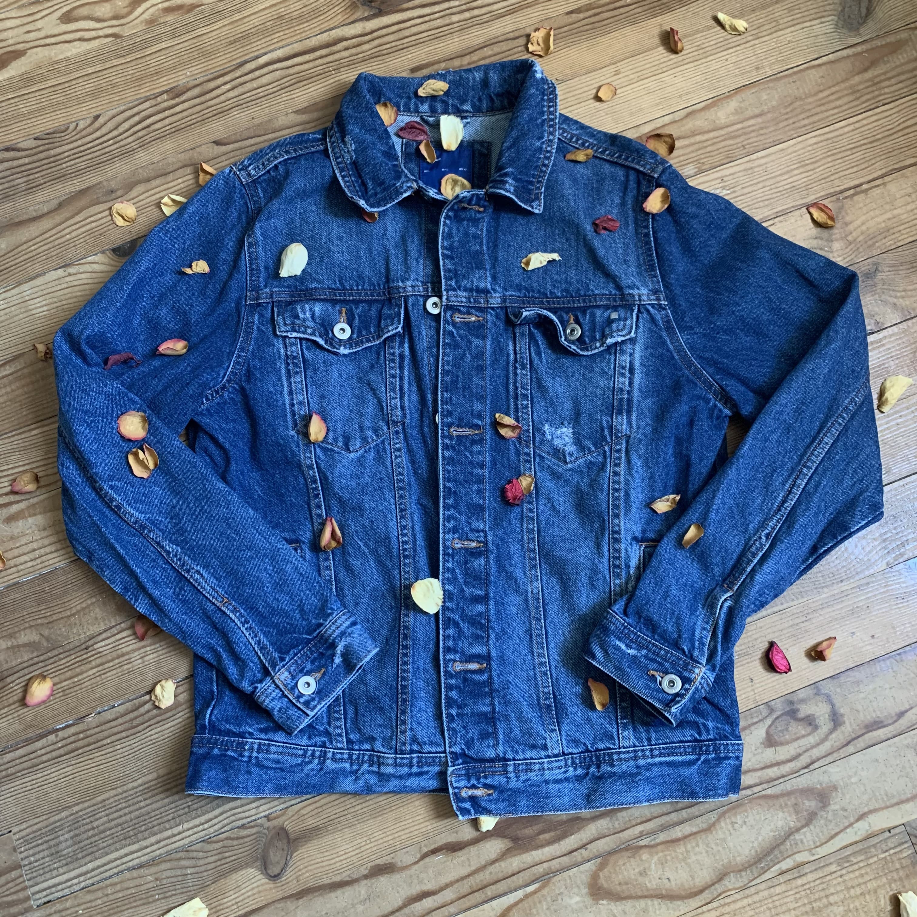 Veste Elesse V008