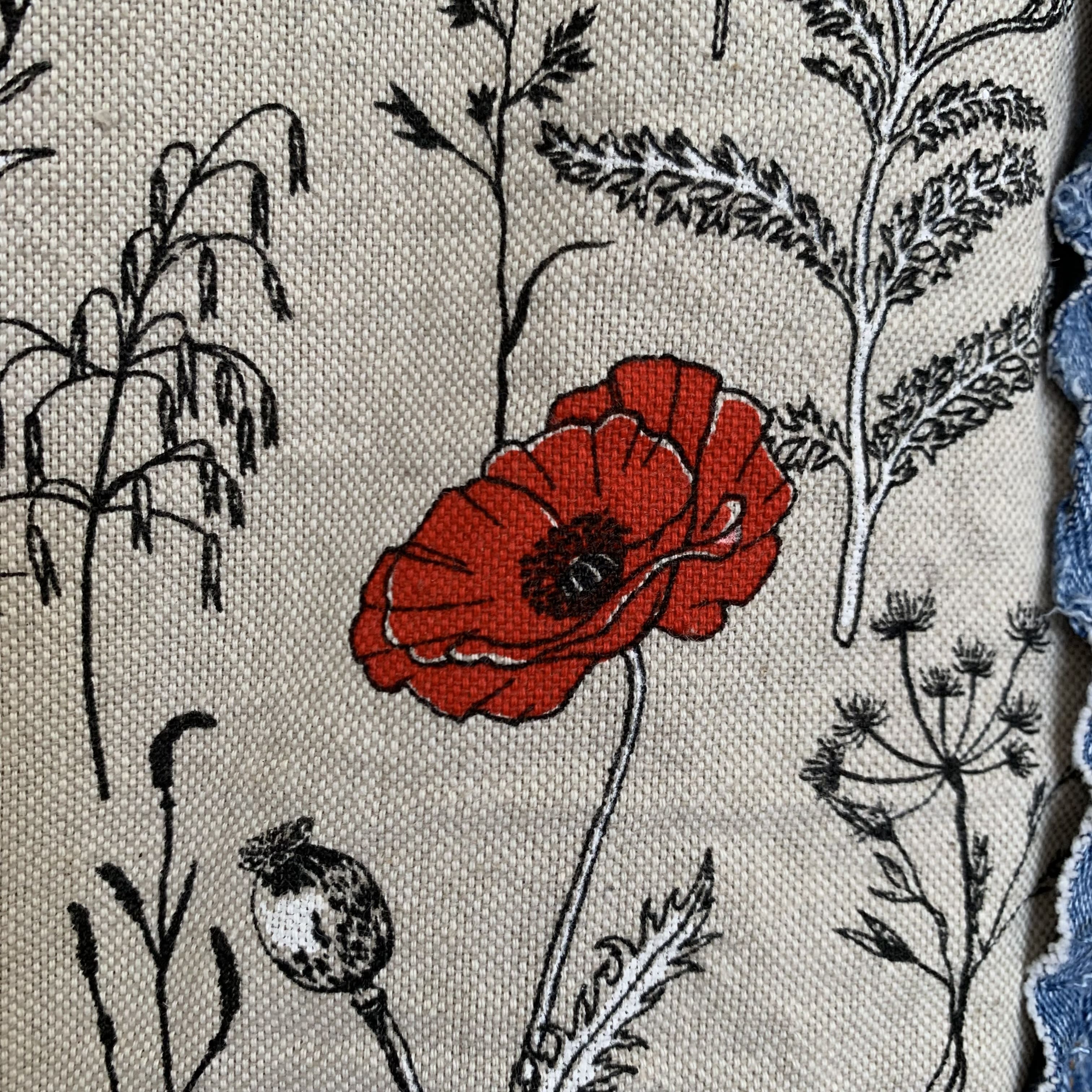 Fleurs coquelicot