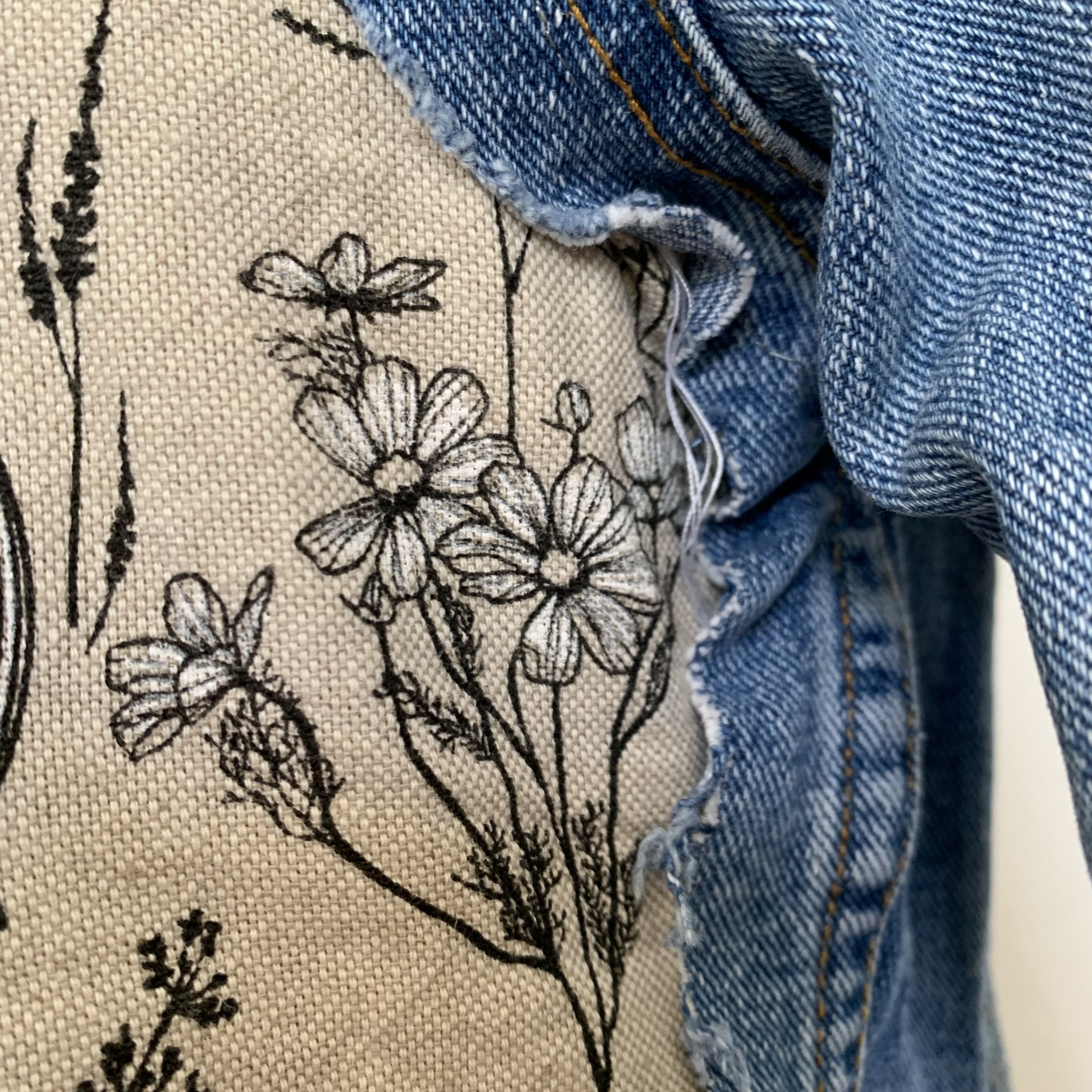 Fleurs coquelicot